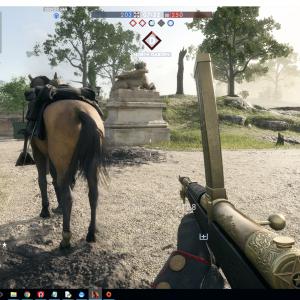 Share Accommodation -  Looking for Share Accommodation 